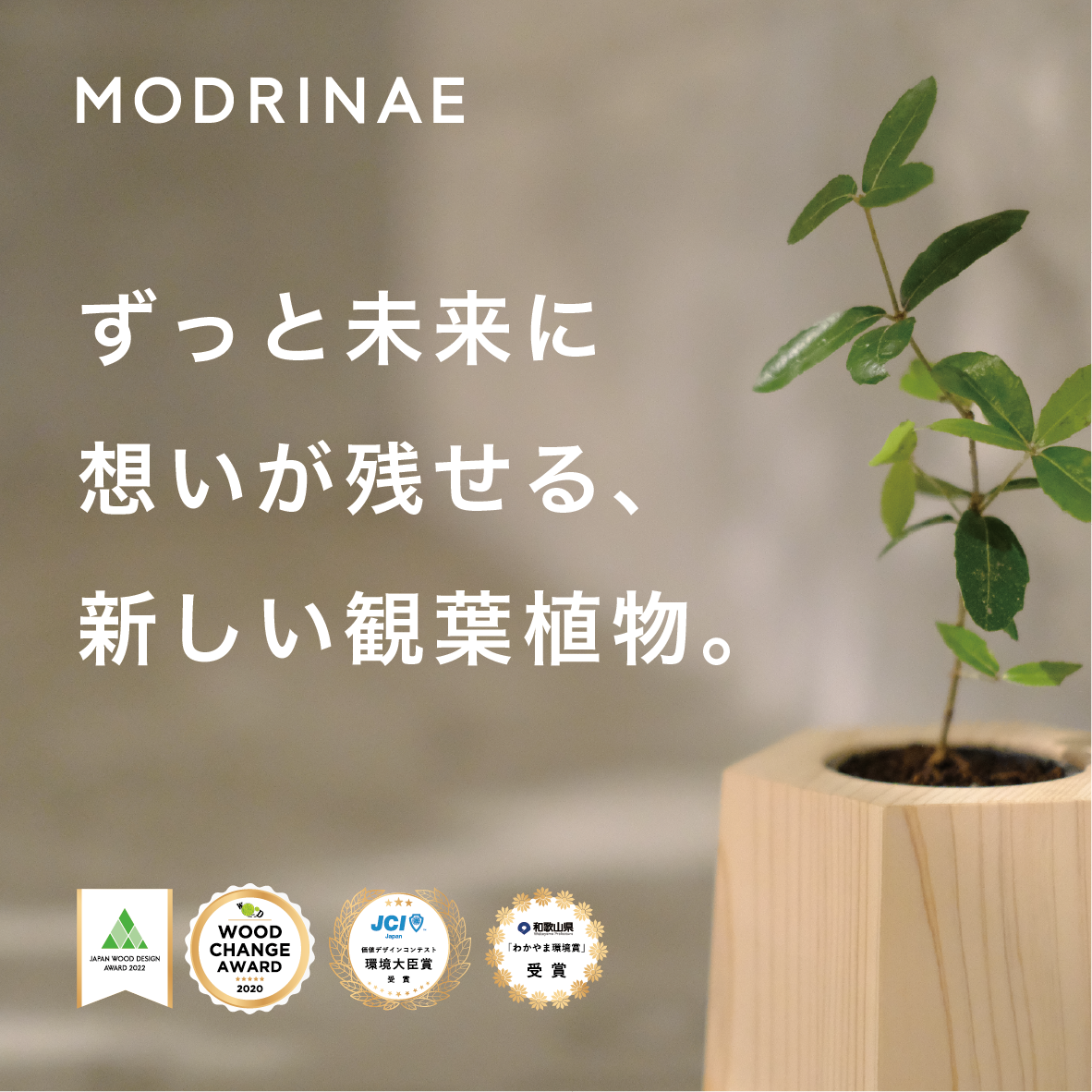 【2025年秋発送】戻り苗 (個別デザイン)