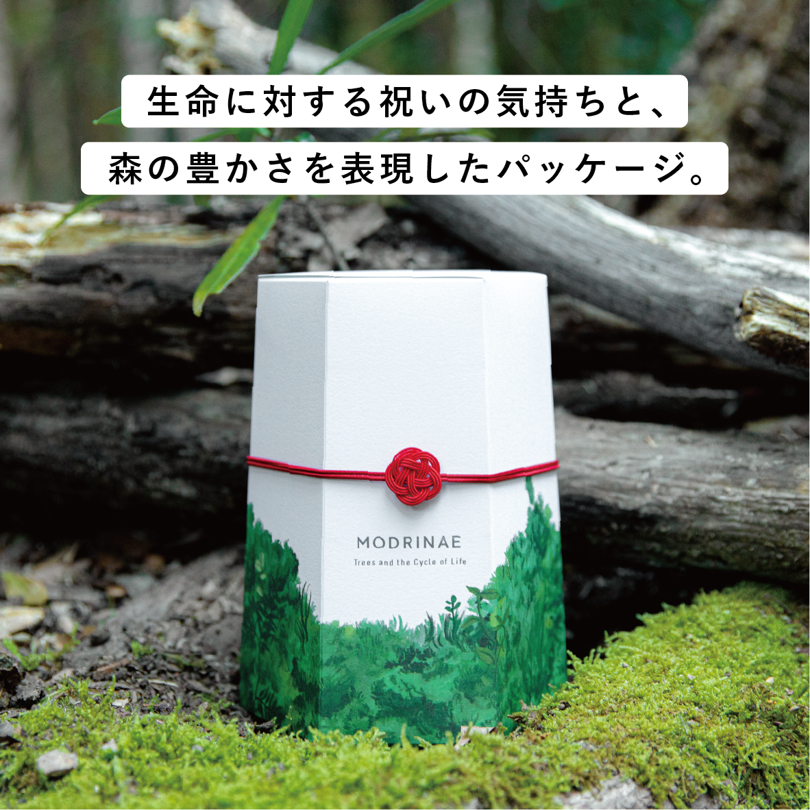 【2025年秋発送】戻り苗 (個別デザイン)