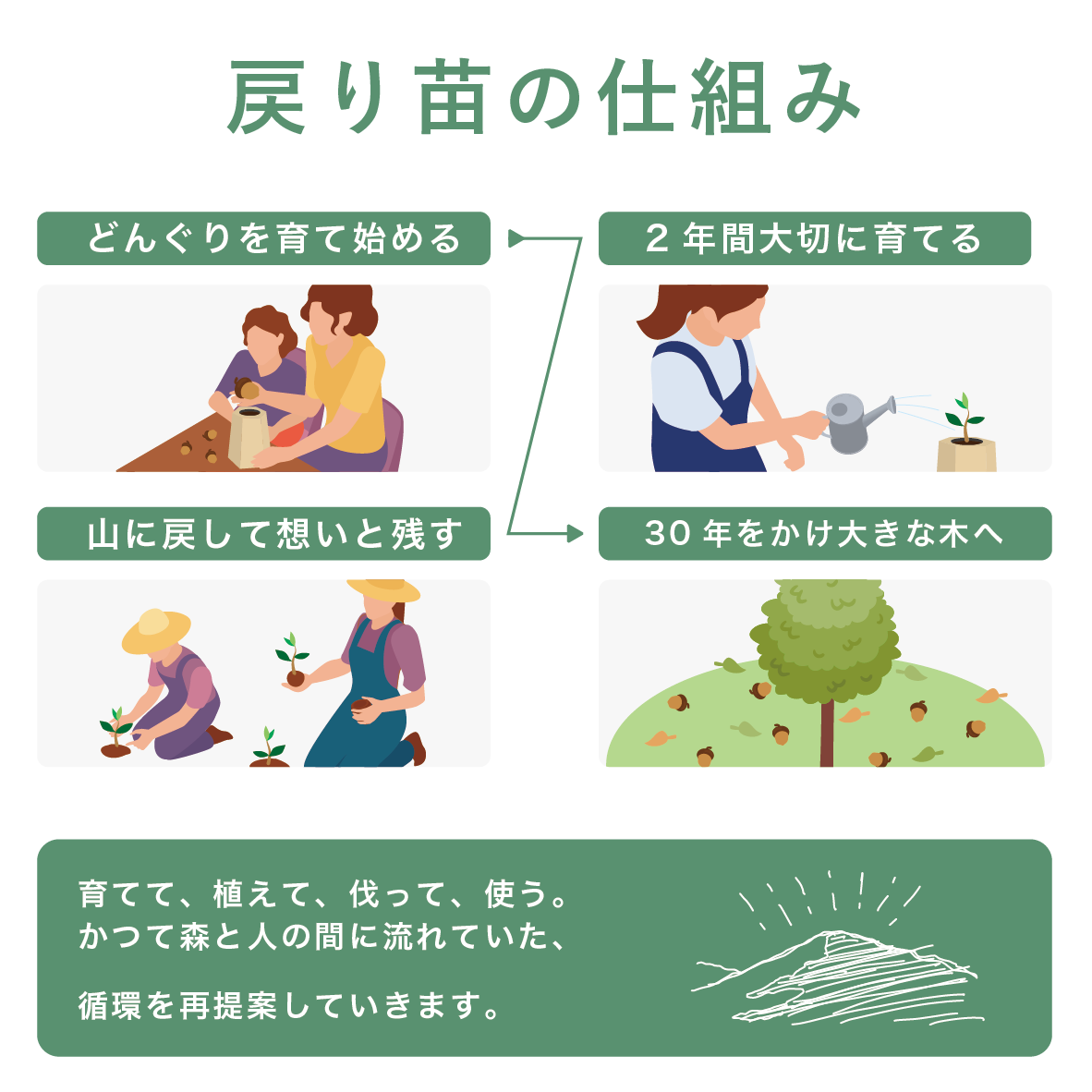 【2025年秋発送】戻り苗