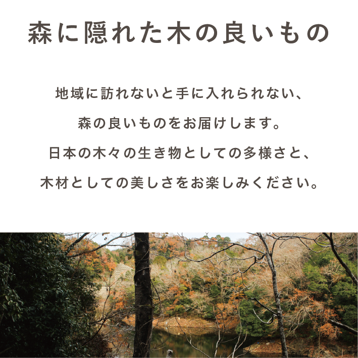 木のカトラリーセット