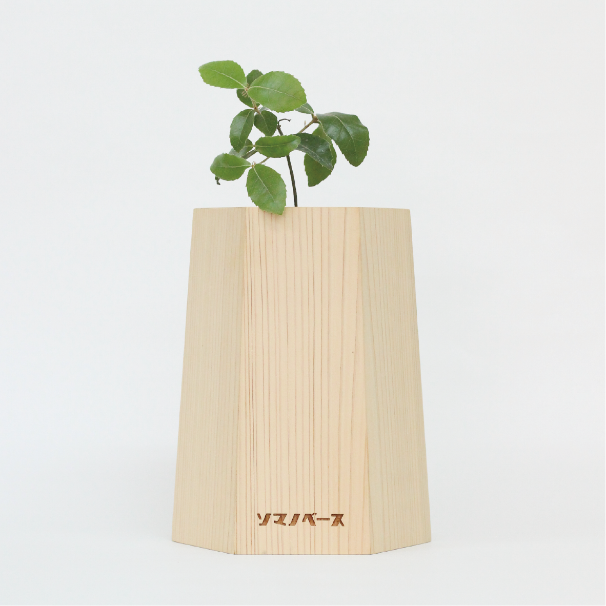 【2025年秋発送】戻り苗 (個別デザイン)