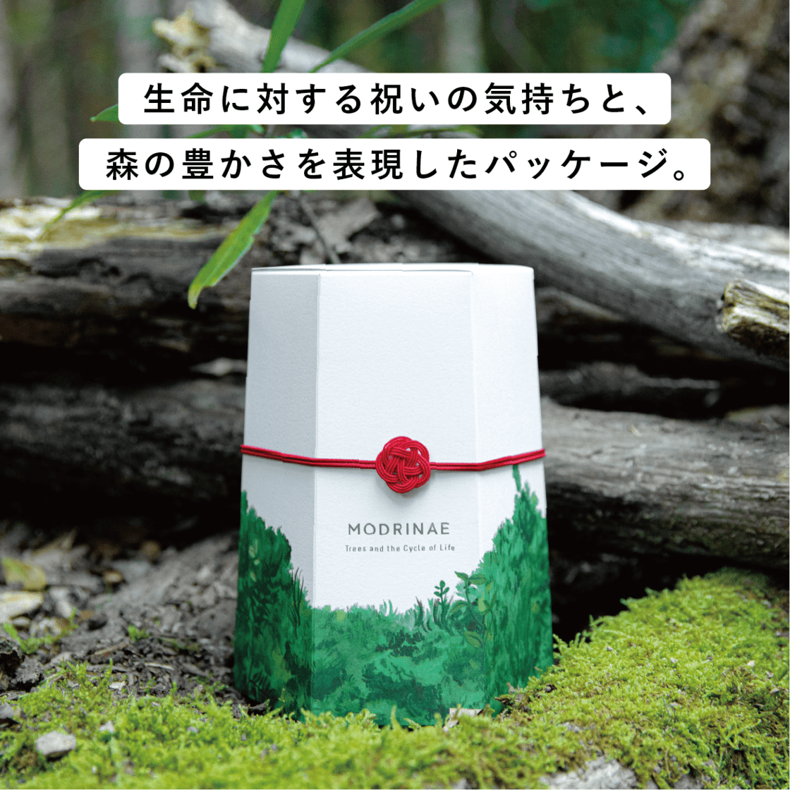 【Green Ponta Actionコラボ】戻り苗