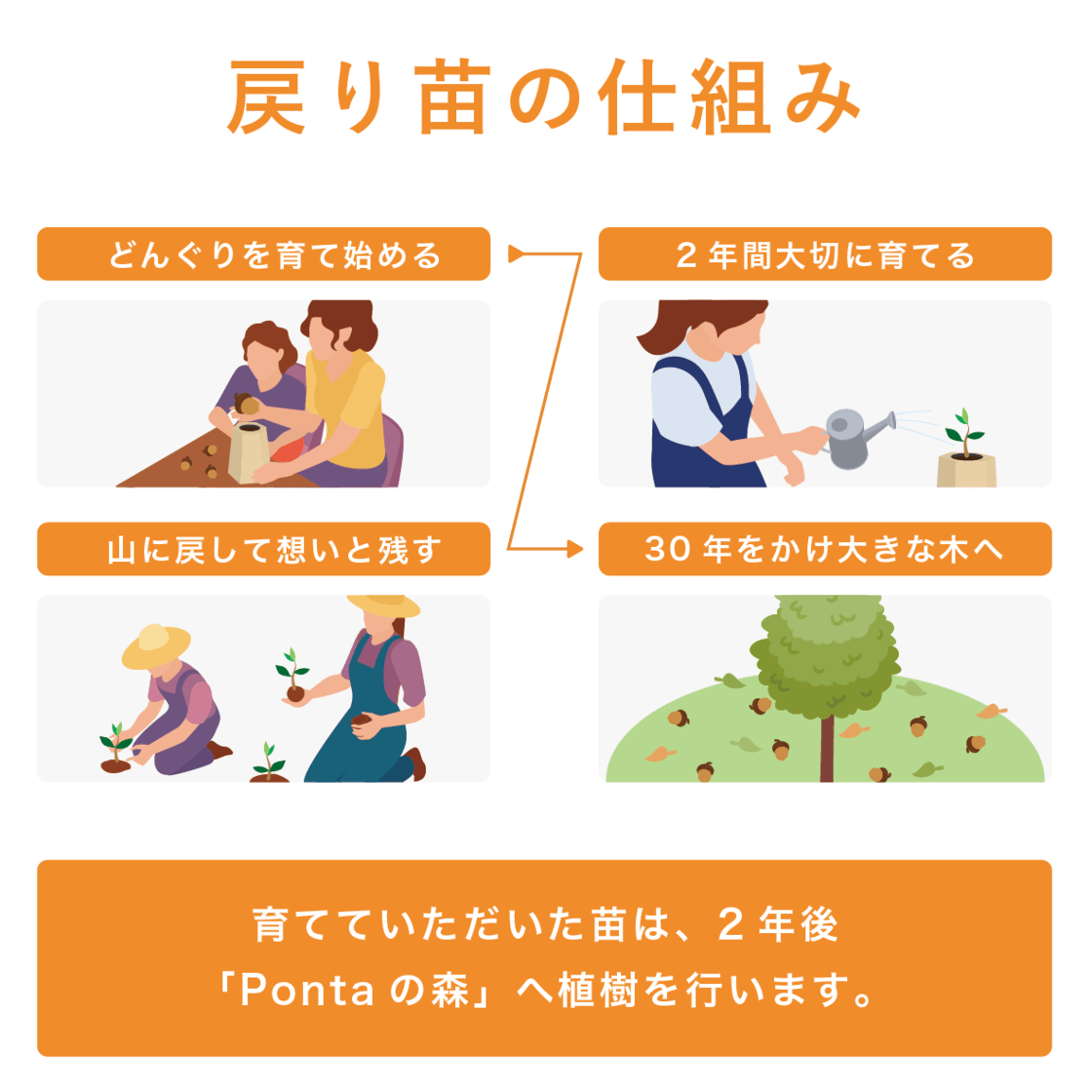 【Green Ponta Actionコラボ】戻り苗