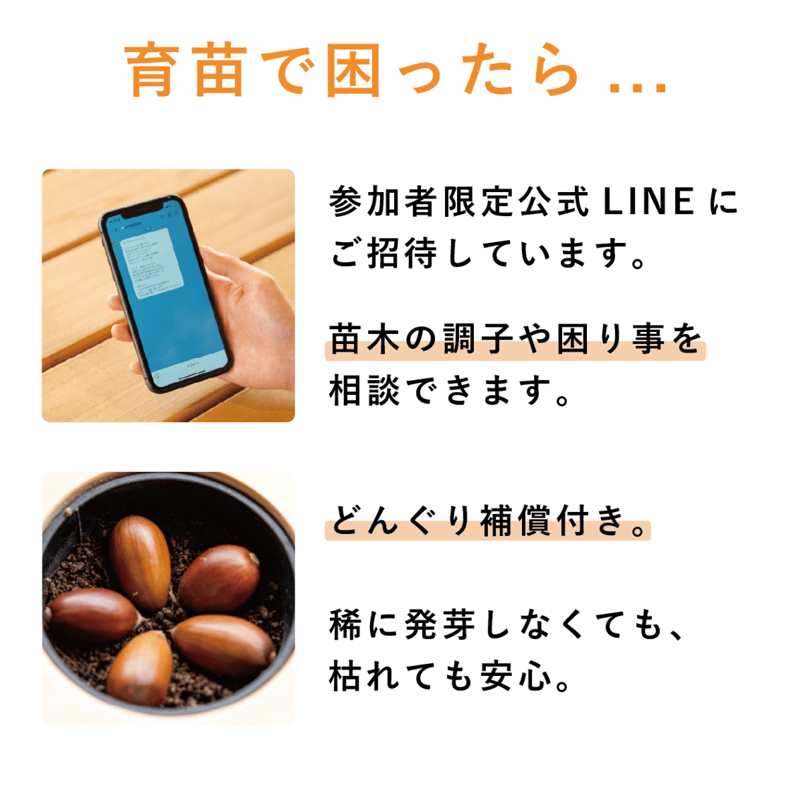 【Green Ponta Actionコラボ】戻り苗