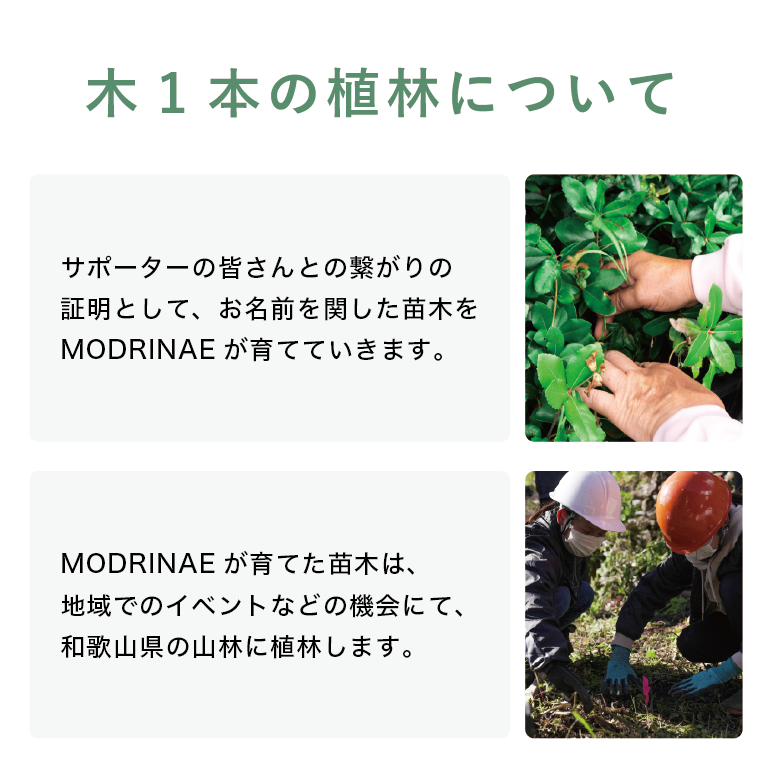 MODRINAEサポーターズ