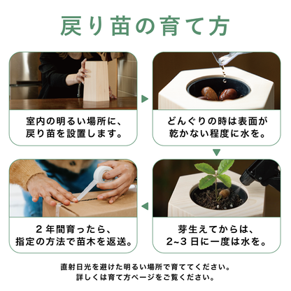 【25年秋発送開始】戻り苗