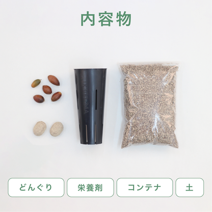 【25年秋発送開始】リスタートセット