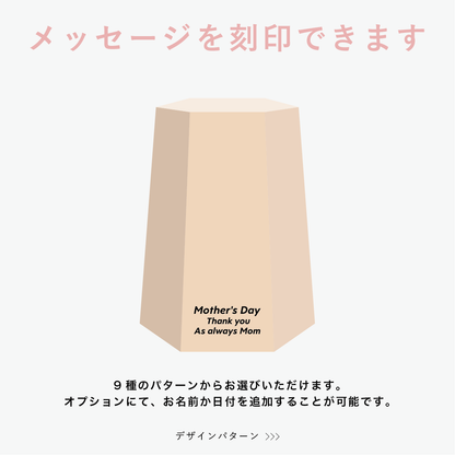 【25年秋発送開始】贈り苗（戻り苗 for GIFT）