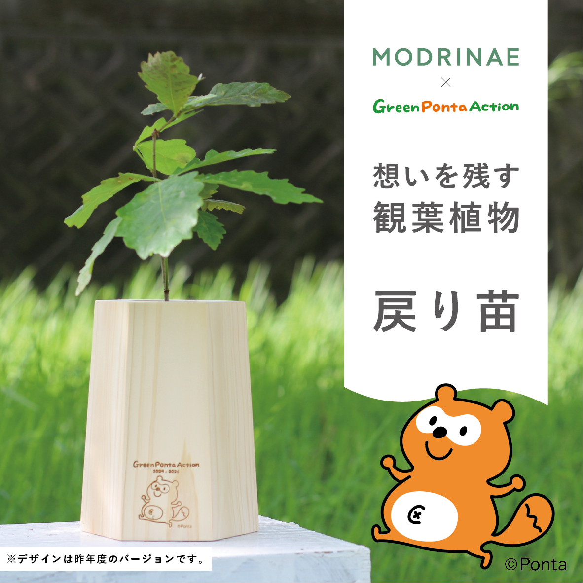 【Green Ponta Actionコラボ】戻り苗 Pontaデザイン
