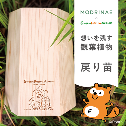 【2026年 Green Ponta Actionコラボ】戻り苗 Pontaデザイン