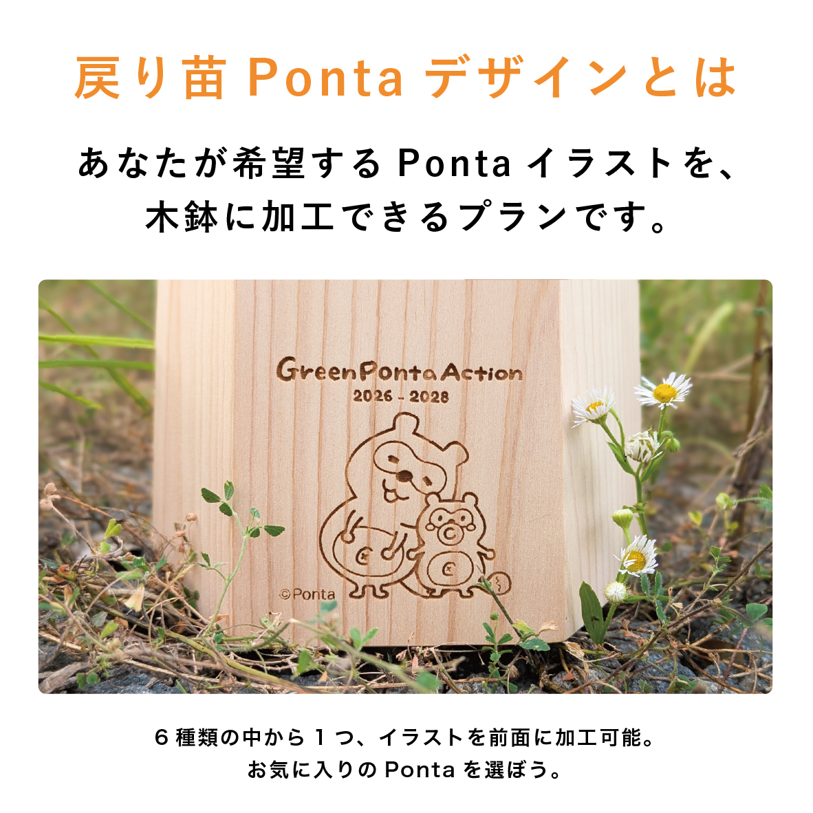 【2026年 Green Ponta Actionコラボ】戻り苗 Pontaデザイン