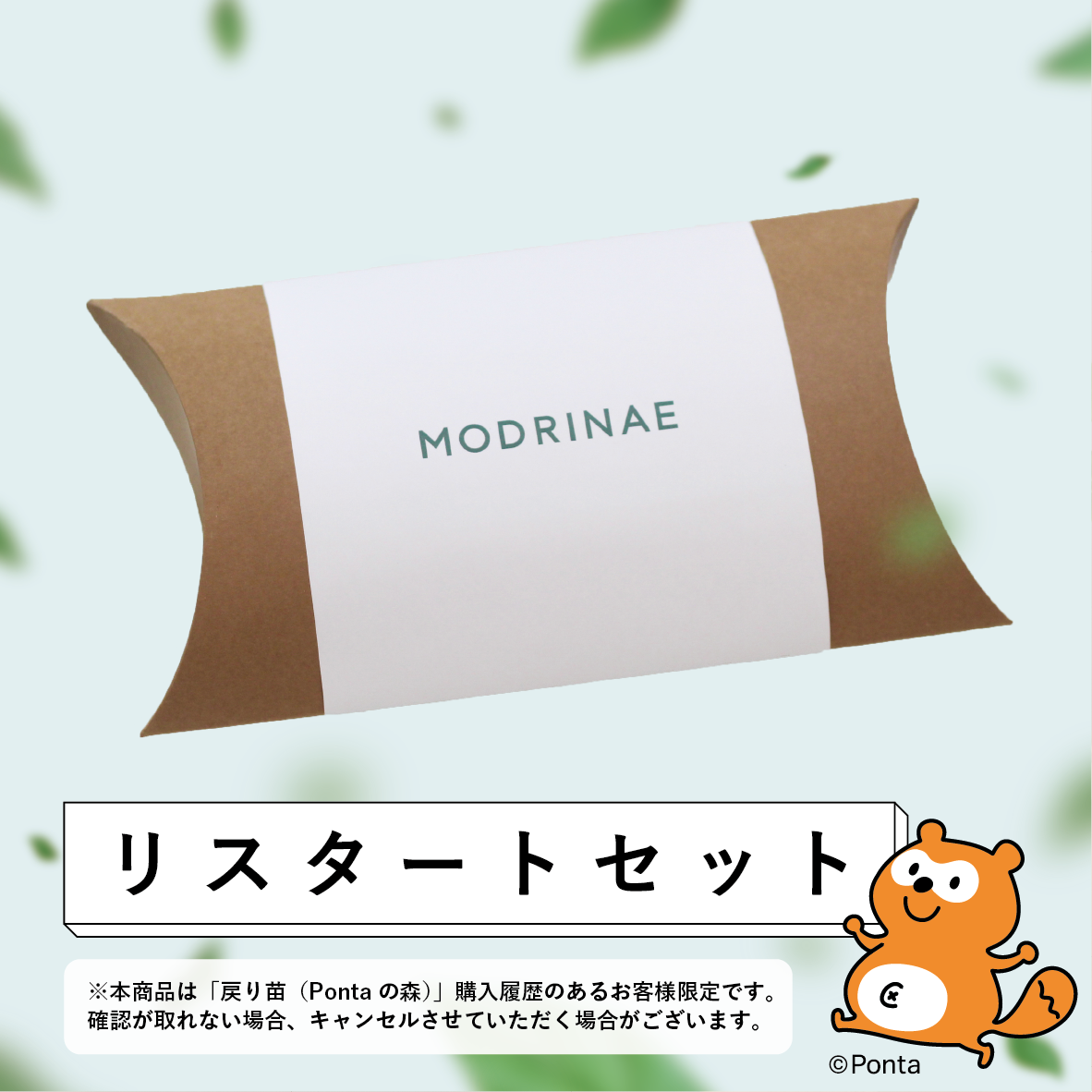【2026年 Green Ponta Actionコラボ】戻り苗リスタートセット