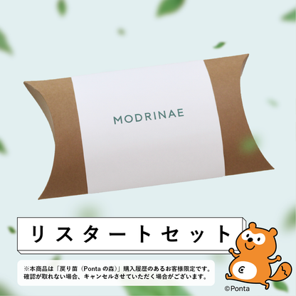 【2026年 Green Ponta Actionコラボ】戻り苗リスタートセット
