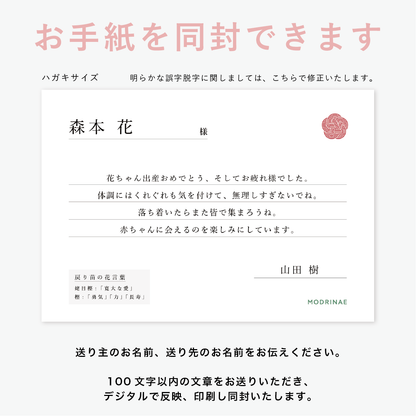 【25年秋発送開始】贈り苗（戻り苗 for GIFT）