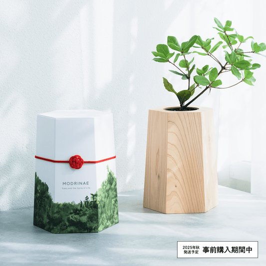 【2025年秋発送】戻り苗