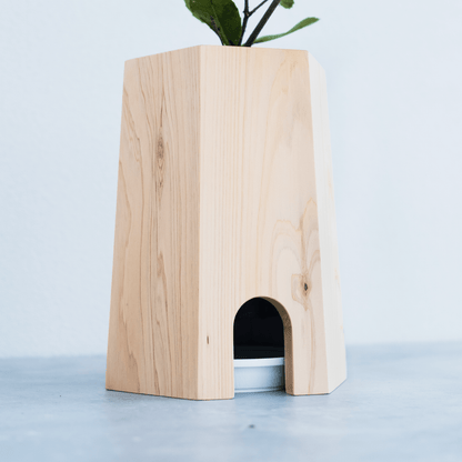 【25年秋発送開始】戻り苗