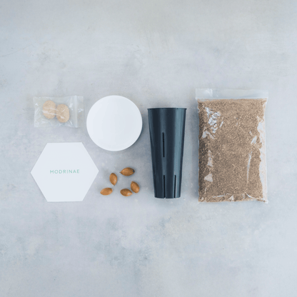 【25年秋発送開始】戻り苗