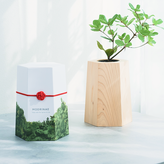 【25年秋発送開始】戻り苗