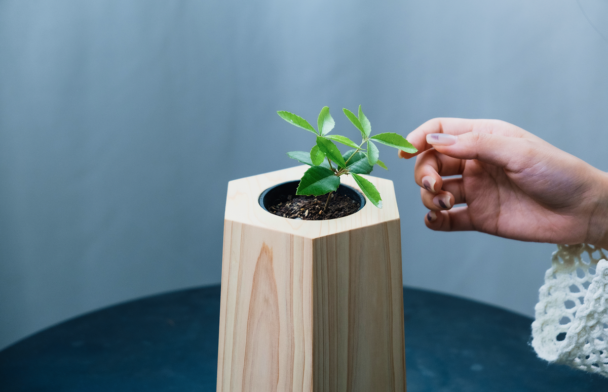 育て方・サポートについて