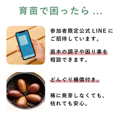 【25年秋発送開始】どんぐり5個・土（アフターフォロー）