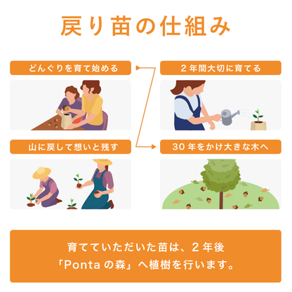 【2026年 Green Ponta Actionコラボ】戻り苗