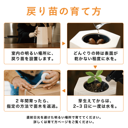 【Pontaの森】どんぐり（アフターフォロー）