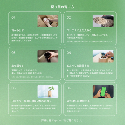 【25年秋発送開始】戻り苗